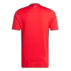 New Wales Jersey 2024 Home Soccer Shirt - Best Soccer Players